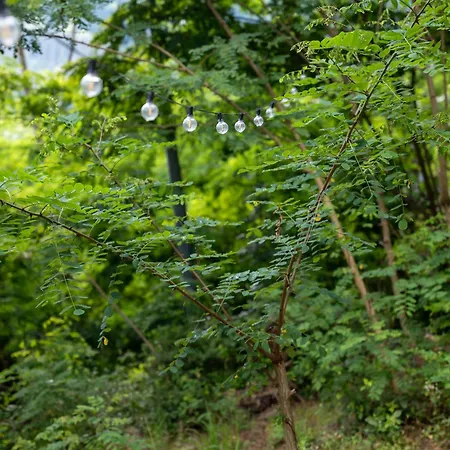 Starsbox Cinque Terre אוהל מפואר