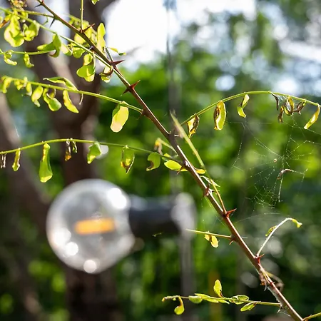 Starsbox Cinque Terre - Finlandia Carrodano Inferiore