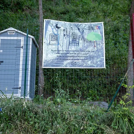 Starsbox Cinque Terre - Finlandia 캐로다노인페리오리